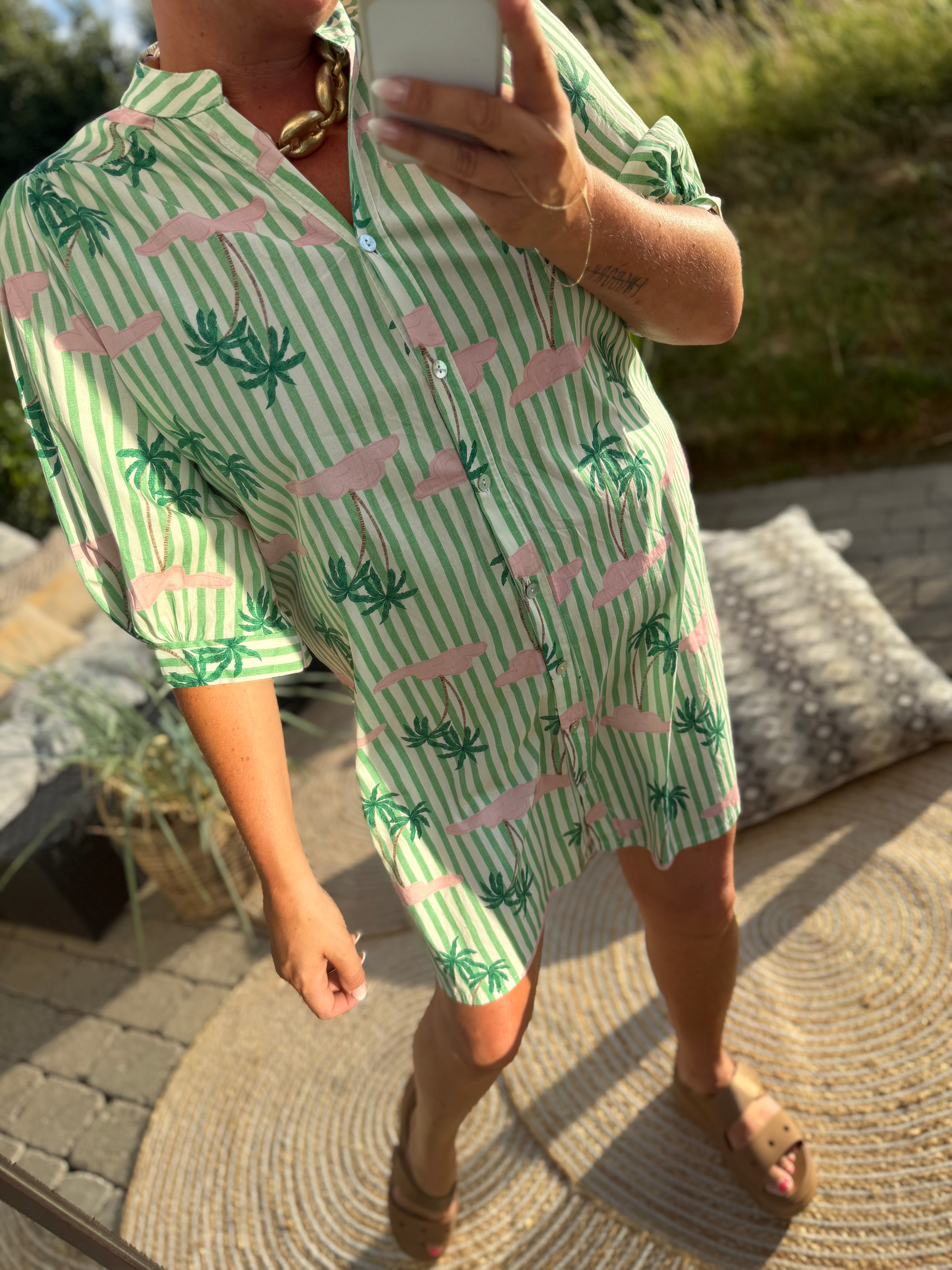 Palm Island dress stripe mint