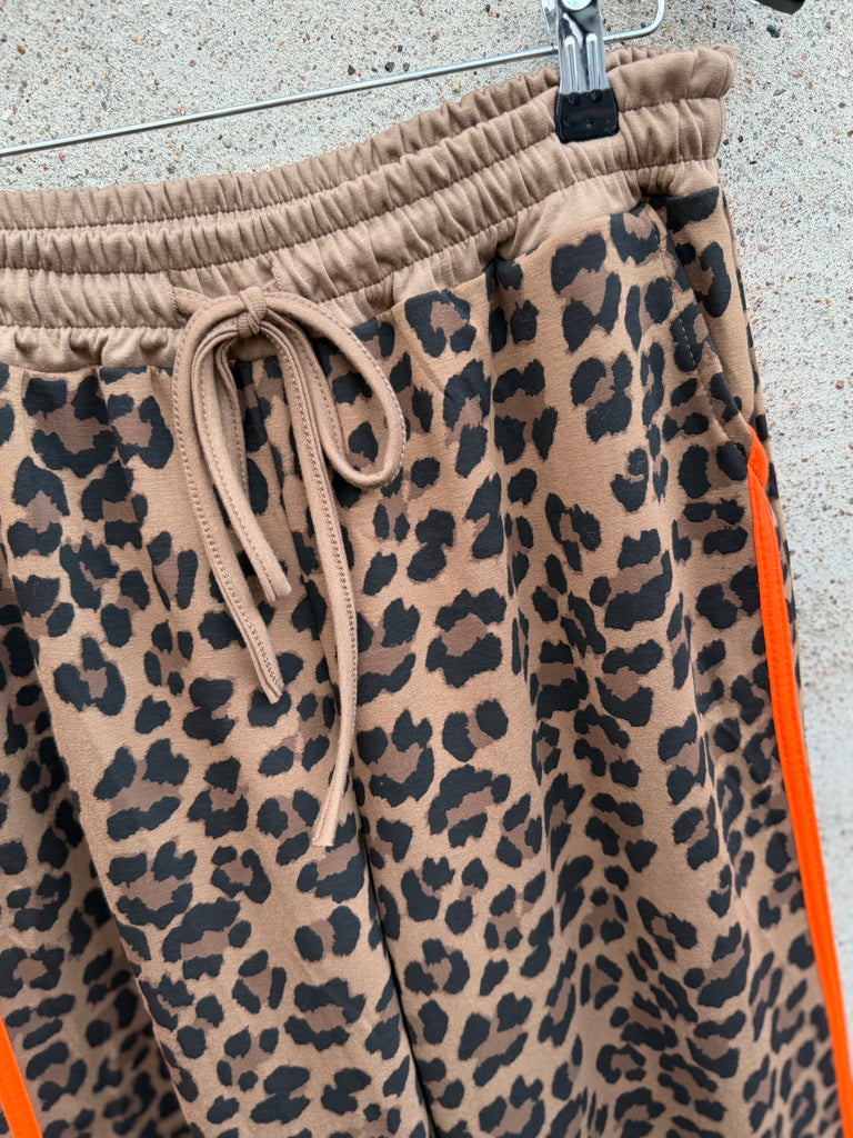 Boho Love B1284 sweat buks leo camel