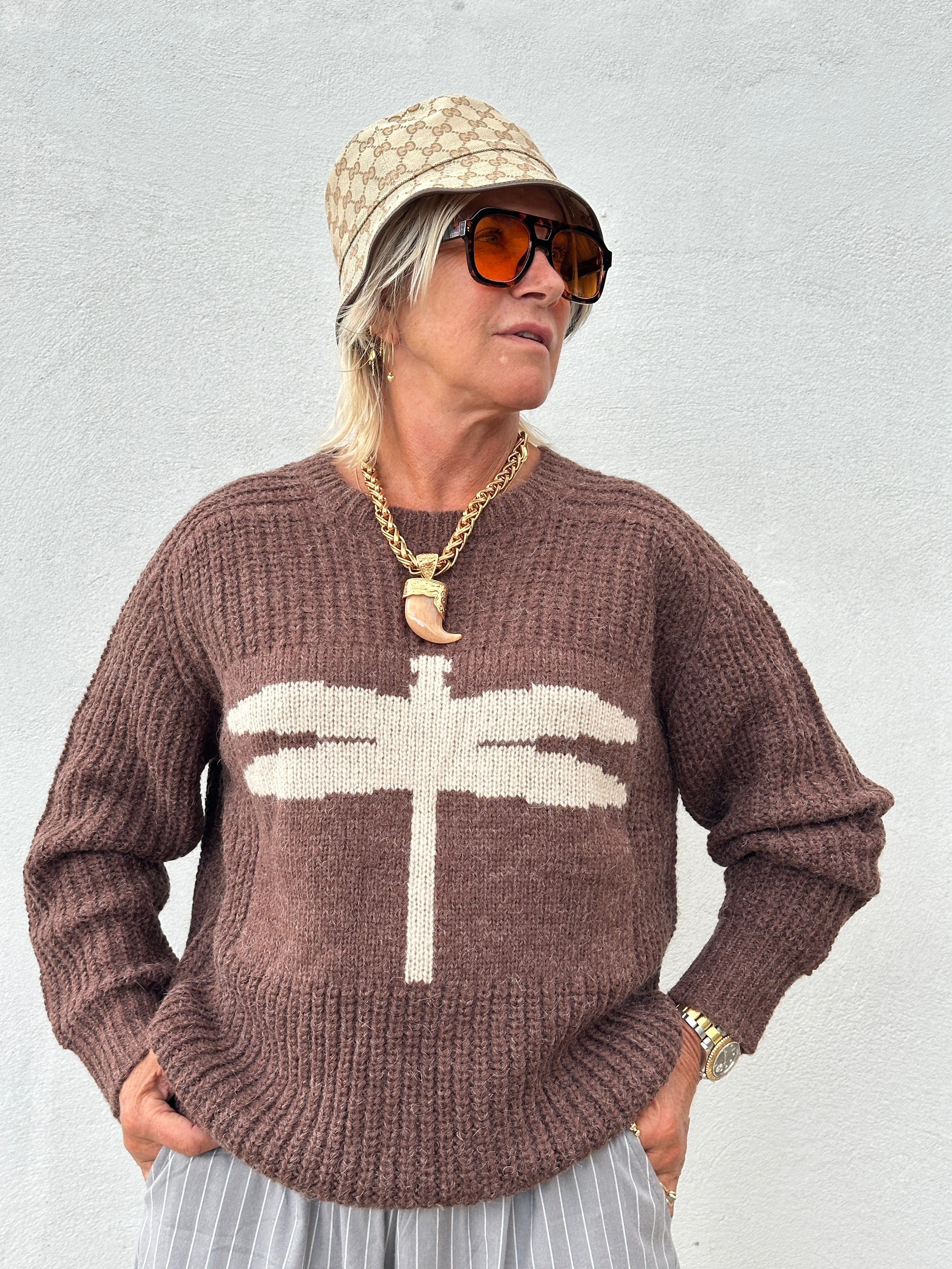 Gaspar 2607349 Pisa logo pullover brown
