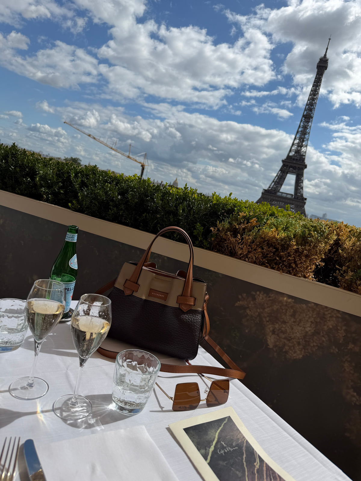 Pourchet Paris 20031 Blossom handbag M multi